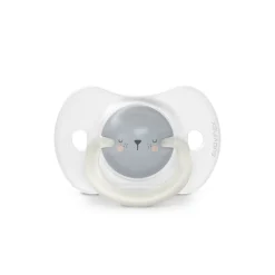 Lot de 2 sucettes phosphorescentes SX Pro 0/6M Night&Day