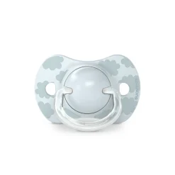 Lot de 2 sucettes SX Pro 0/6m Dreams