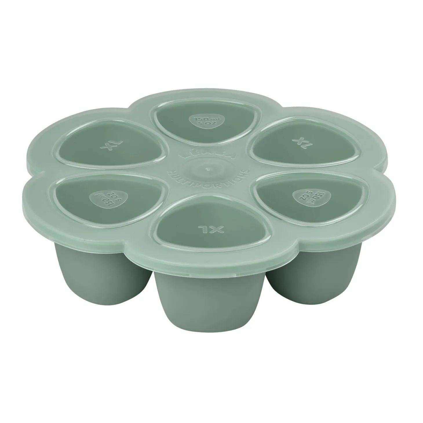 Moule multiportions silicone 6X150ml Vert sauge